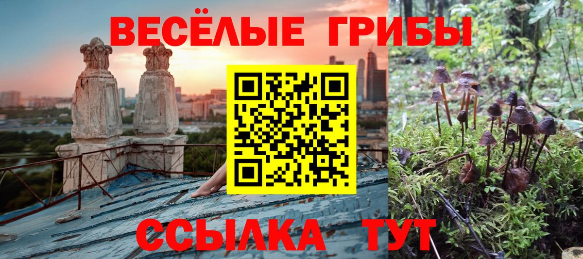 Вязьма  Галлюциногенные грибы Psilocybine cubensis  Галлюциногенные грибы Cubensis  Вход с VPN 
